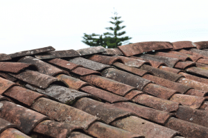 Read more about the article Roof Repair vs. Roof Replacement: Making the Right Decision