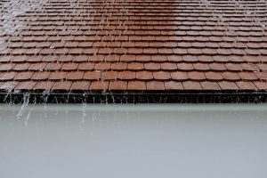 Read more about the article Roofing in Different Climates: Tips for Northern and Southern Homes