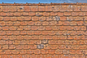 Read more about the article Spring Cleaning Tips for Your Roof