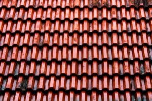 Read more about the article How to Remove and Prevent Mold From Your Roof – Layton, Utah